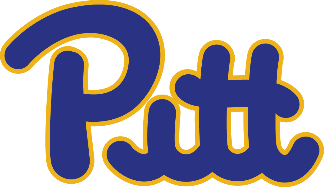 Pittsburgh Panthers 1973-1996 Wordmark Logo v2 diy iron on heat transfer